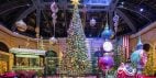 Bellagio Conservatory Christmas