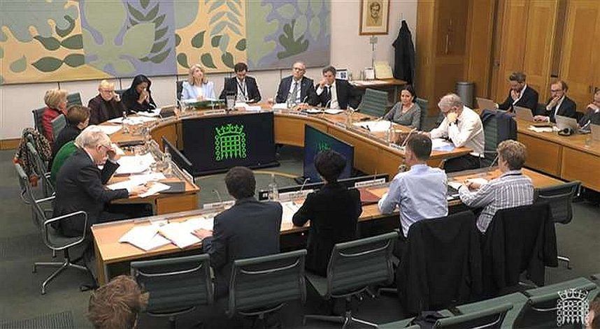 The UK House of Commons Treasury Committee 